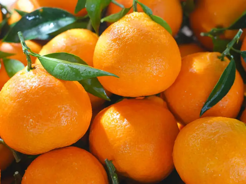 Planning an Ehime No.38 enquiry: origin, fruit reference and packing