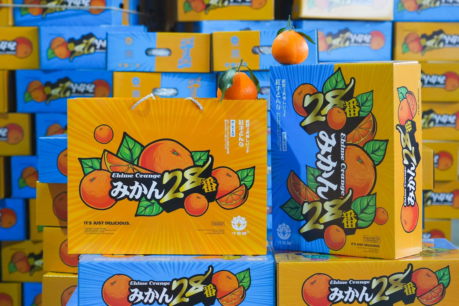 Cunjindi citrus presentation boxes