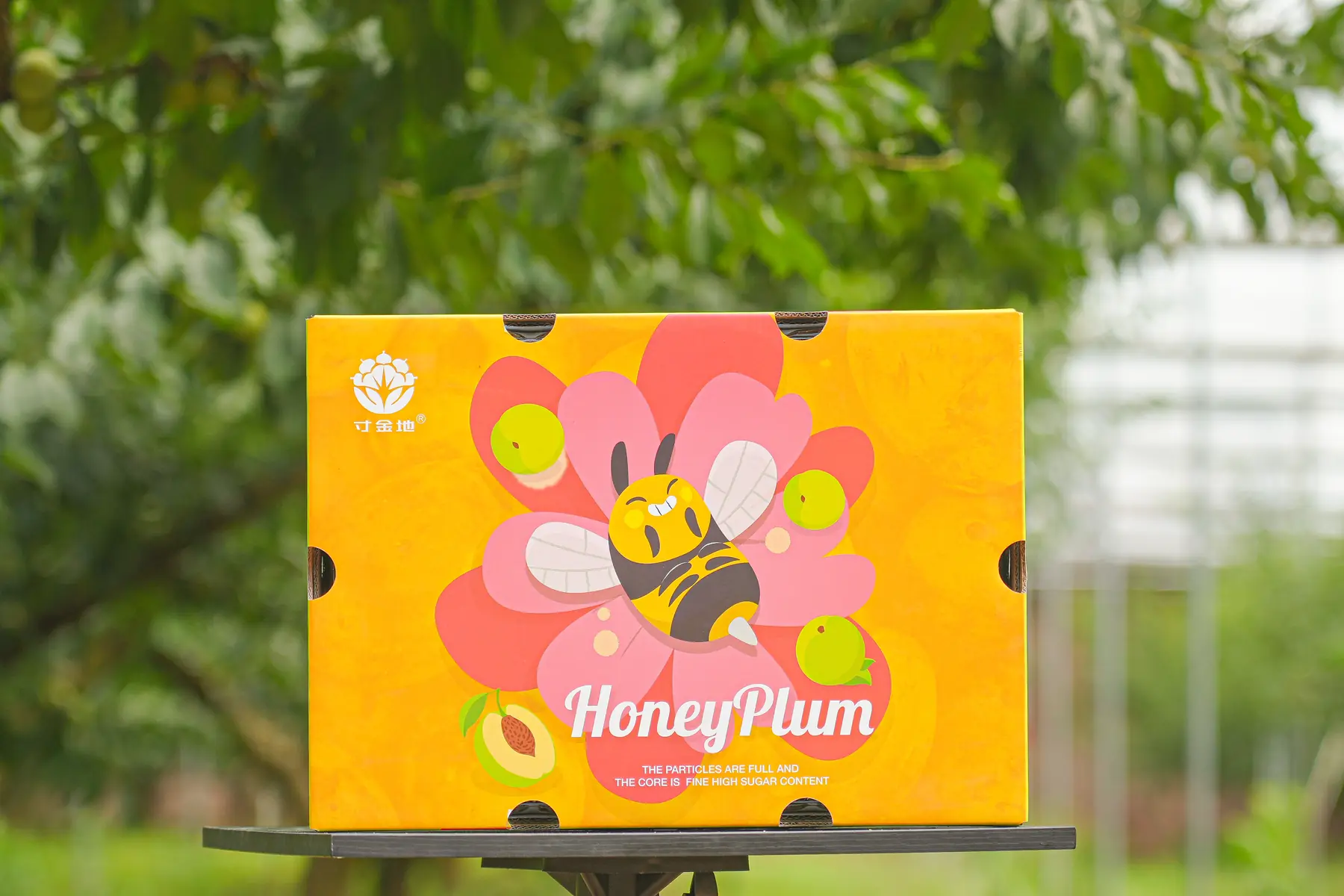 Cunjindi honey plum brand packaging