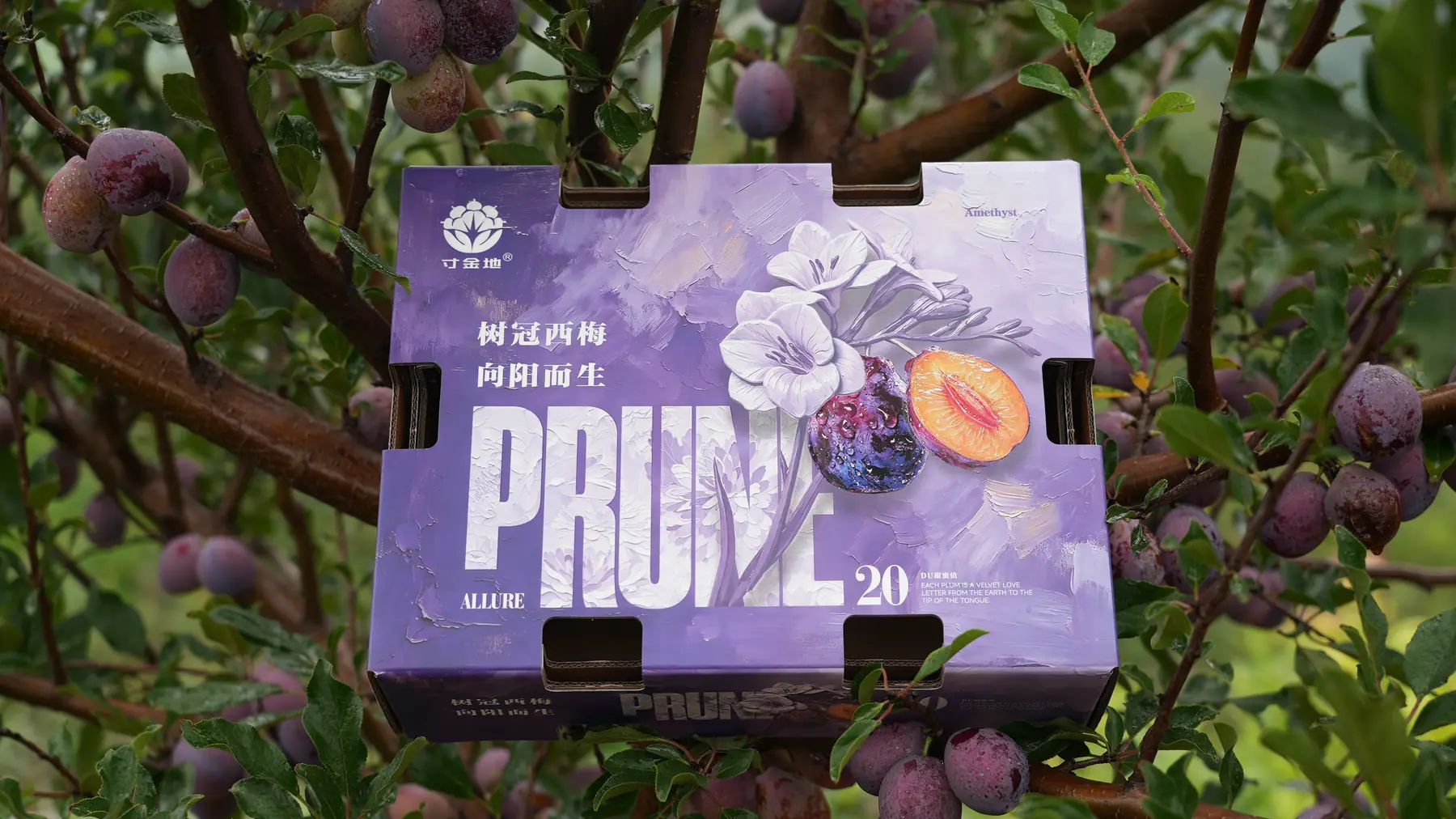 Cunjindi prune branded packaging
