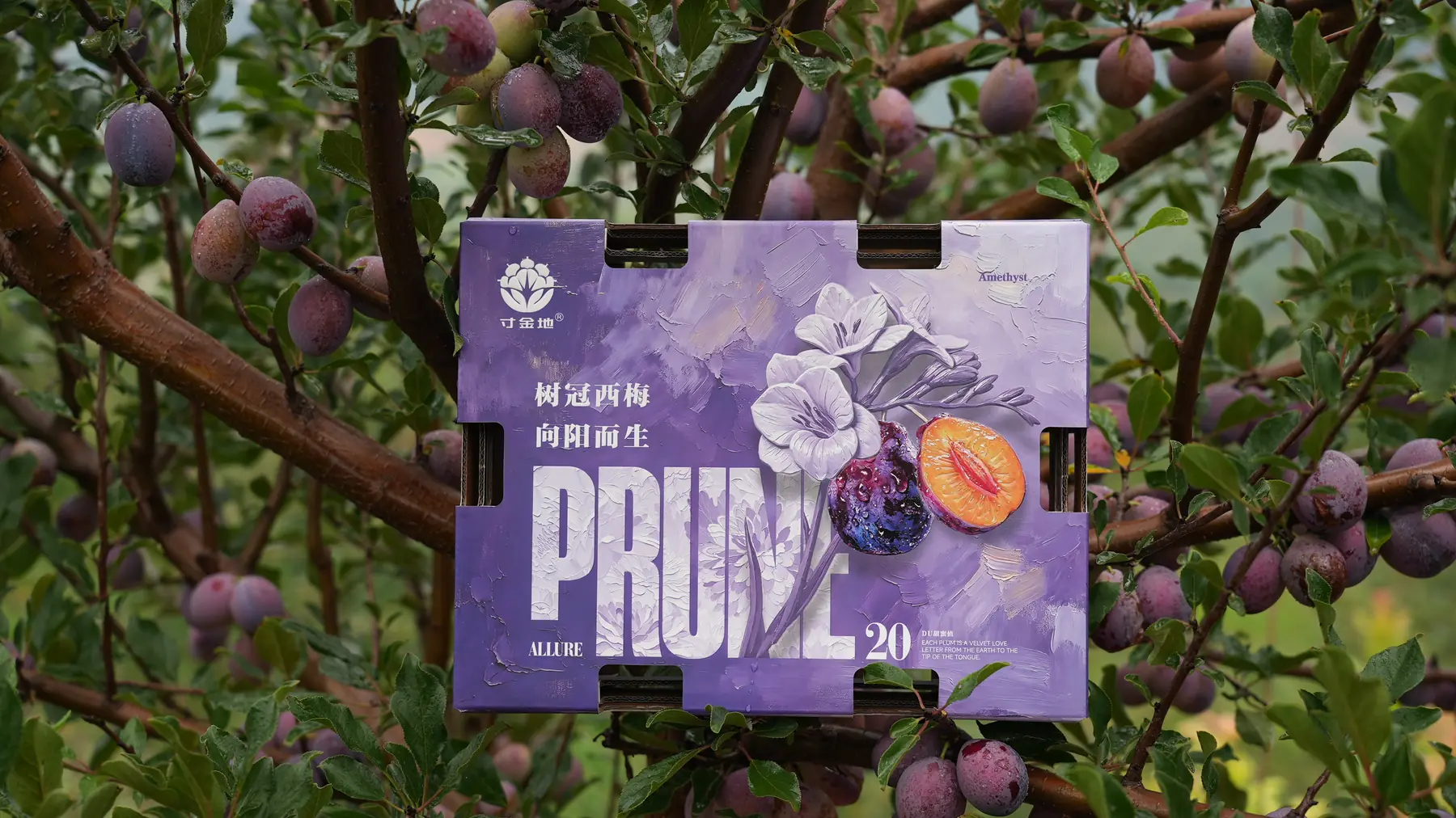 Cunjindi prune branded packaging